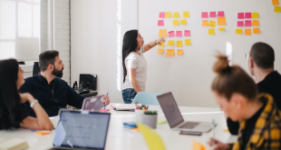 Best Online Universities for Business Management